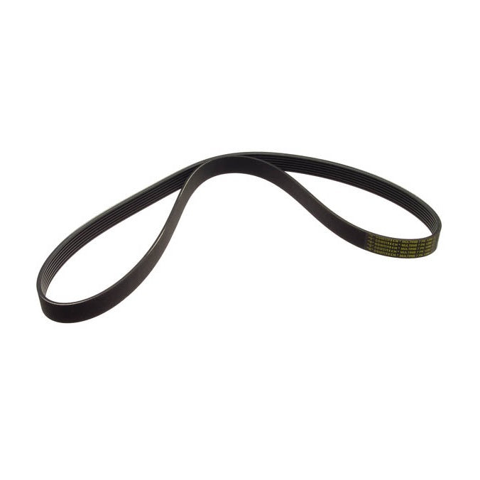 12v VR6 Serpentine Belt (w/o AC) Black Forest Industries