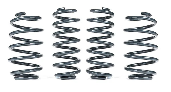 RacingLine VW Tiguan Sport Lowering Springs – Black Forest Industries